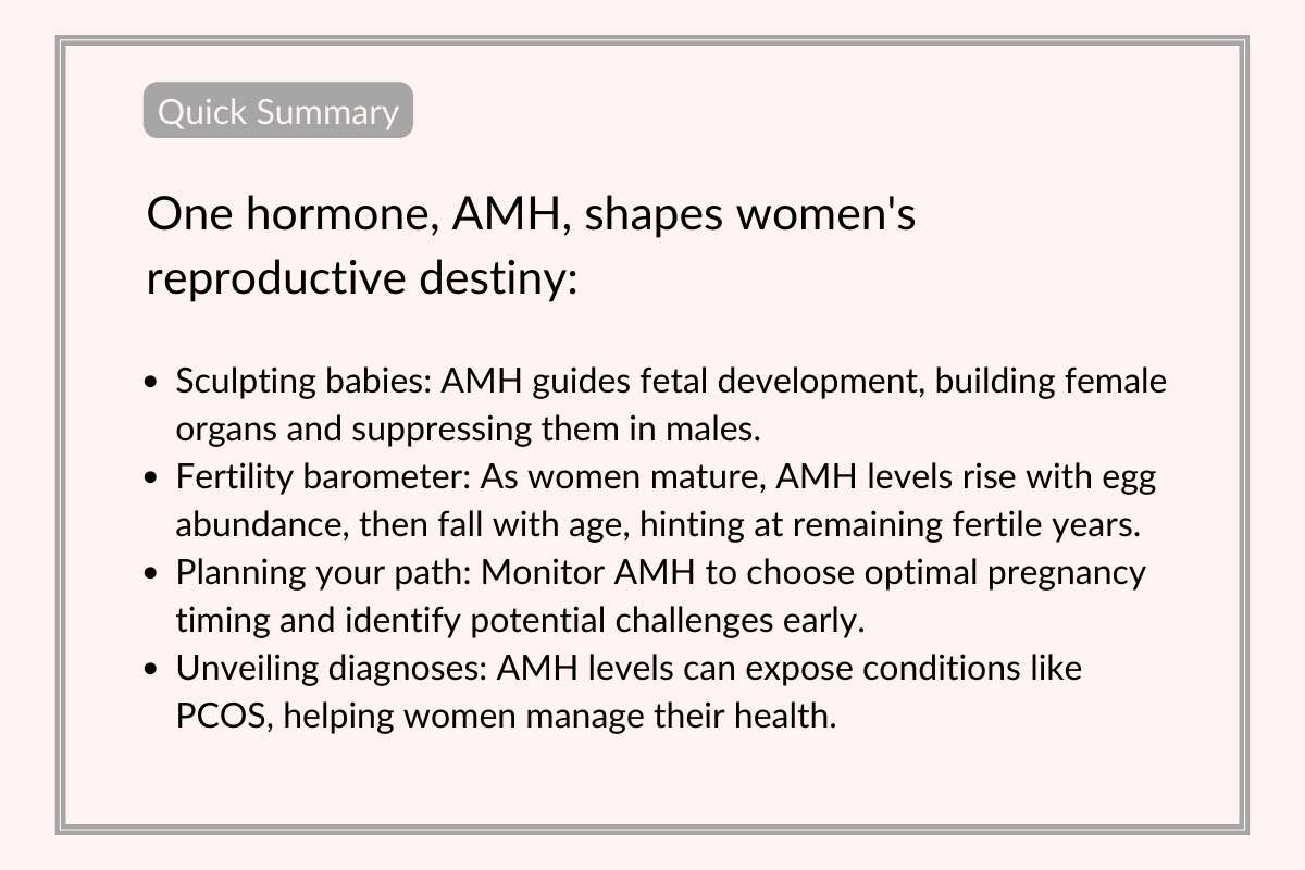 How AMH influences the development of reproductive organs 